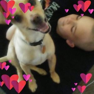 Meet your Posher, Venus